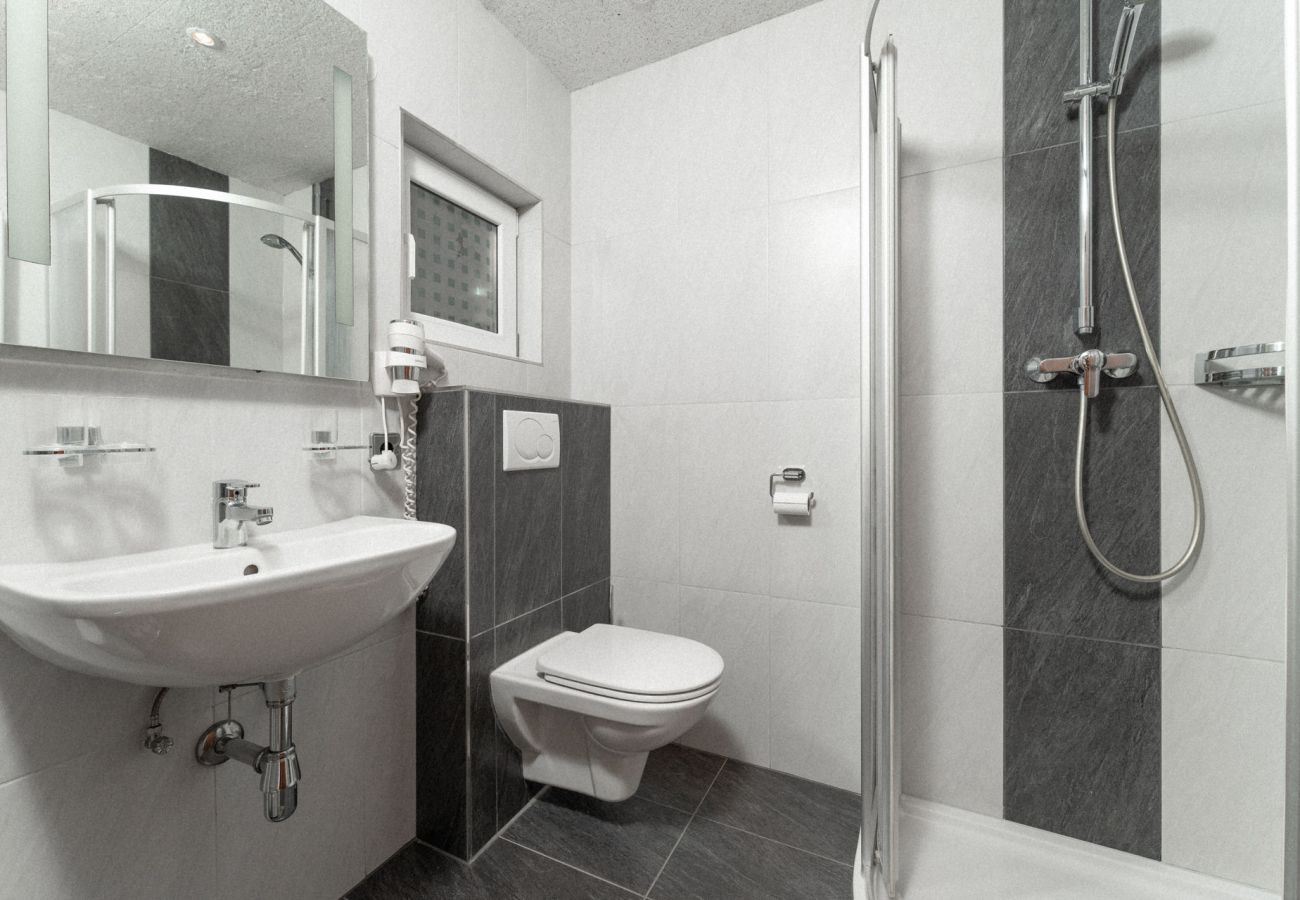 Apartment in Sölden - Apartment Frieda incl. Summer Card
