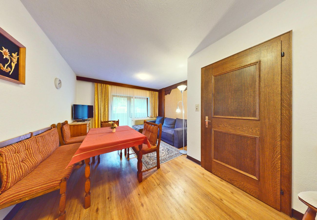 Apartamento en Längenfeld - Apartment Bergsonne