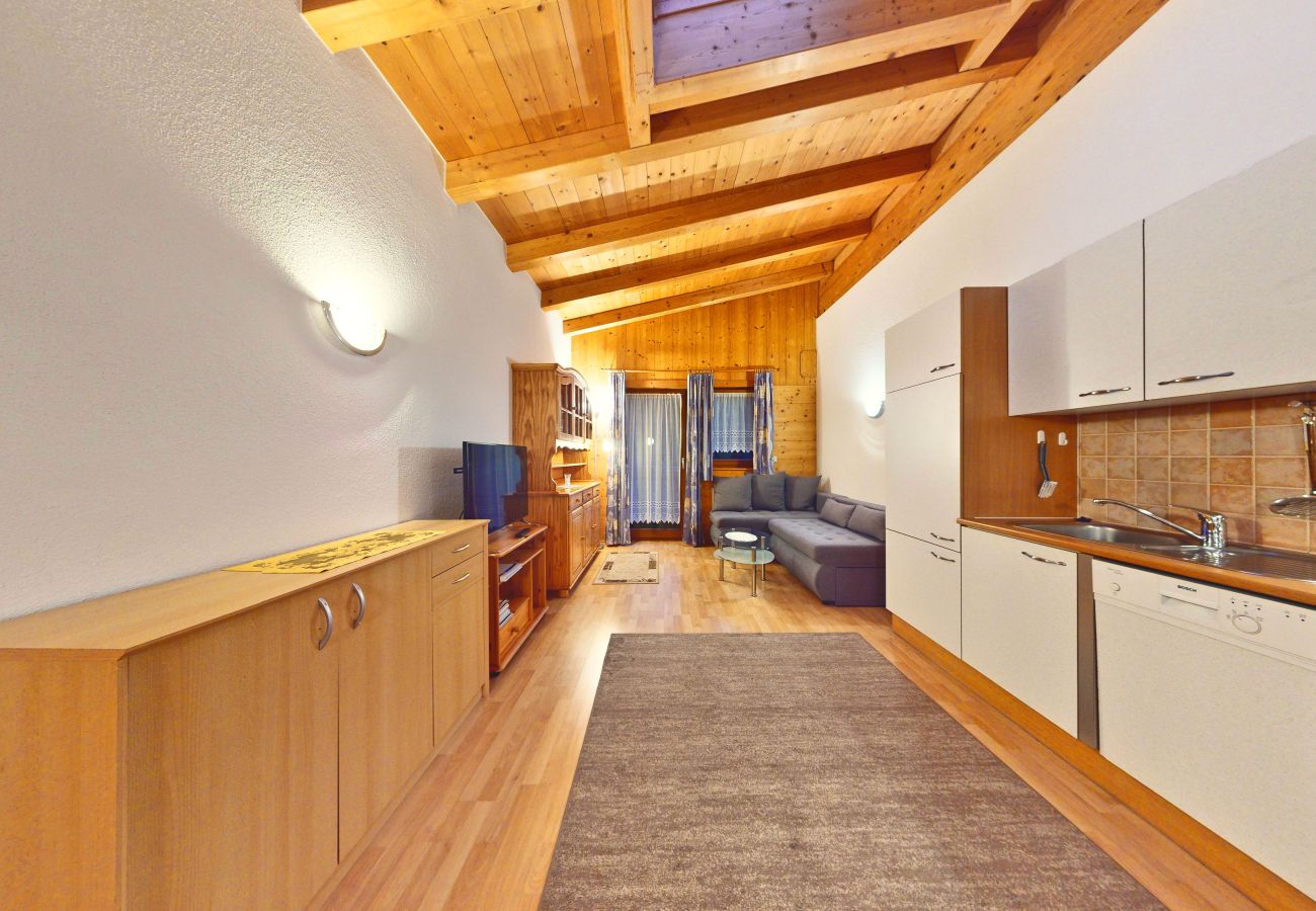 Appartamento a Längenfeld - Apartment Alpenzeit