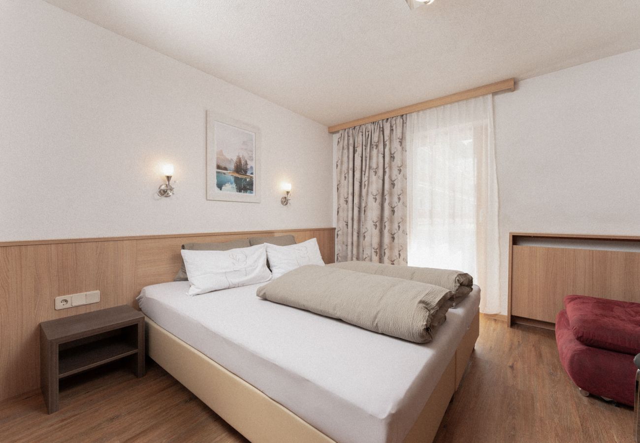 Appartement in Sölden - Apartment Frieda incl. Summer Card
