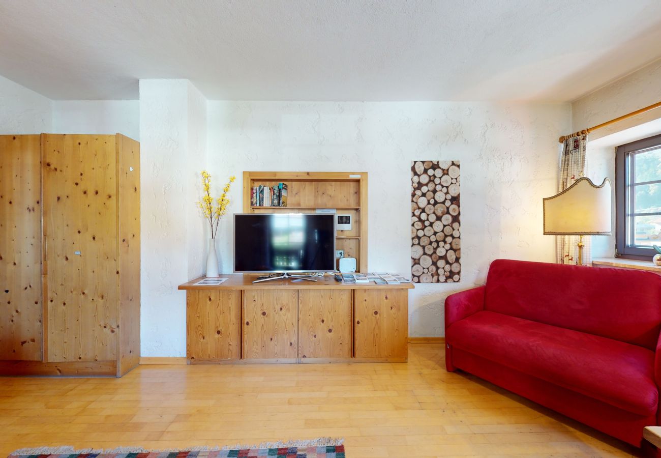 Appartement in Oetz - Ferienwohnung Geranie
