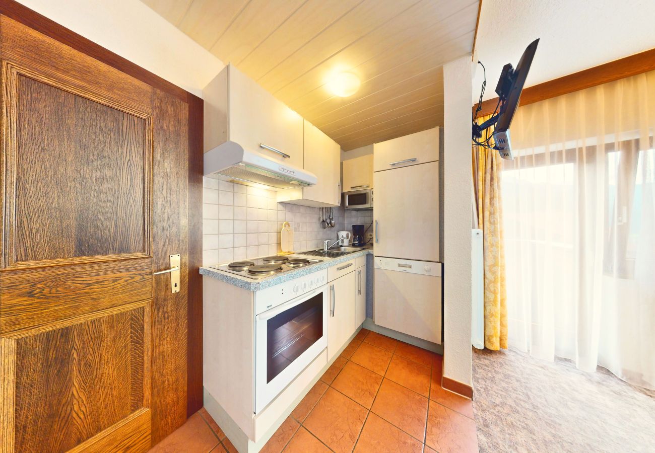 Appartement in Längenfeld - Apartment Talblick