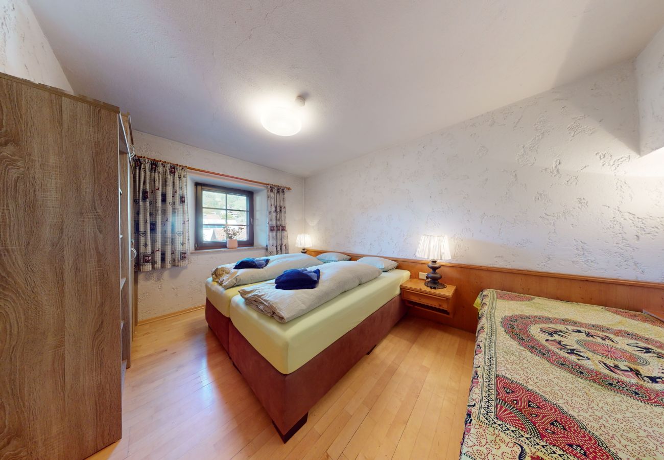 Ferienwohnung in Oetz - Apartment Geranie